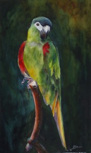 Hans Macaw